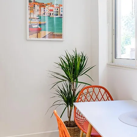 Le Pitchou Par Dodo A 카시스